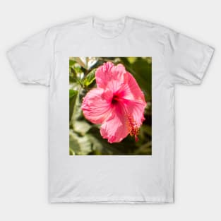 823 Hibiscus T-Shirt